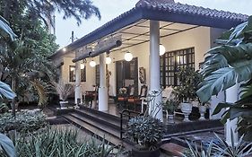 The Icebear Guesthouse